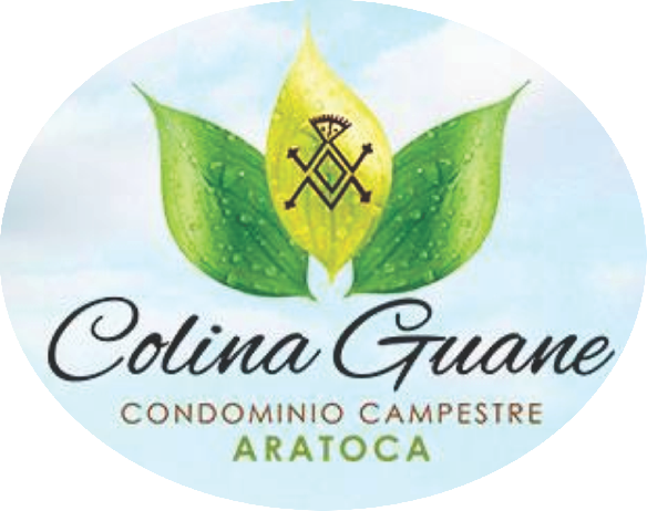 COLINA GUANE